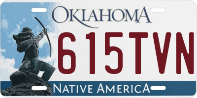 OK license plate 615TVN