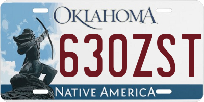OK license plate 630ZST