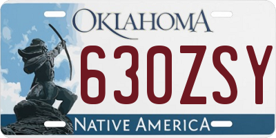 OK license plate 630ZSY