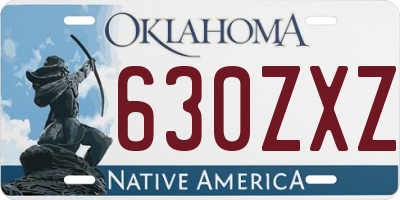OK license plate 630ZXZ