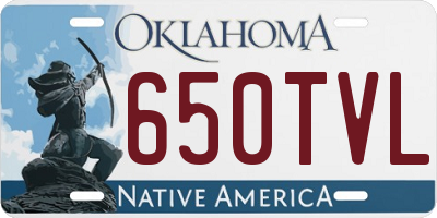 OK license plate 650TVL