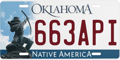 OK license plate 663API