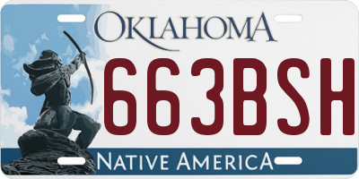 OK license plate 663BSH
