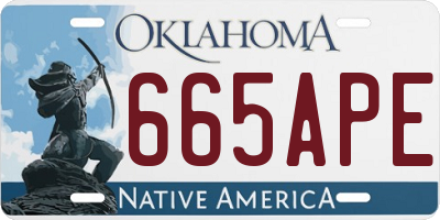 OK license plate 665APE