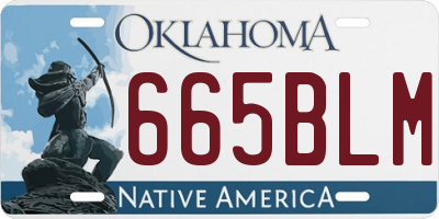 OK license plate 665BLM