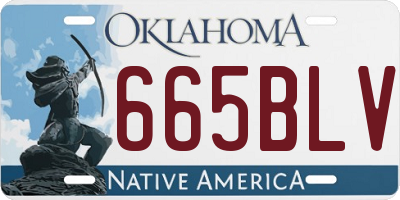 OK license plate 665BLV