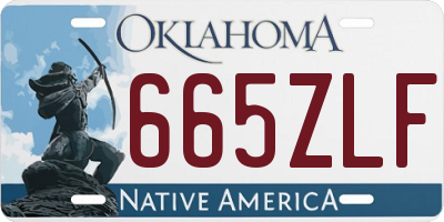 OK license plate 665ZLF