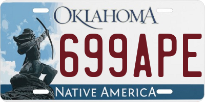 OK license plate 699APE