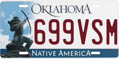 OK license plate 699VSM