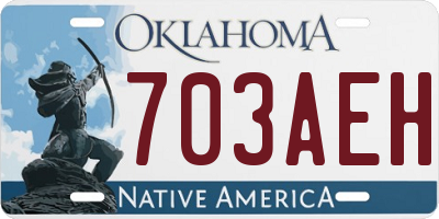 OK license plate 703AEH