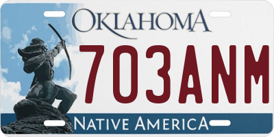 OK license plate 703ANM