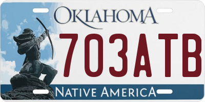 OK license plate 703ATB