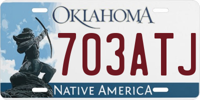 OK license plate 703ATJ