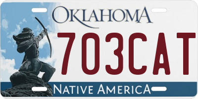 OK license plate 703CAT