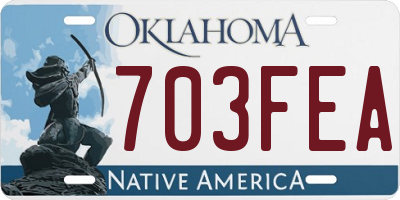 OK license plate 703FEA