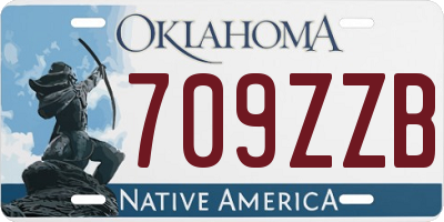 OK license plate 709ZZB