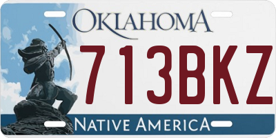 OK license plate 713BKZ