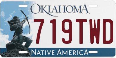 OK license plate 719TWD