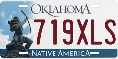 OK license plate 719XLS