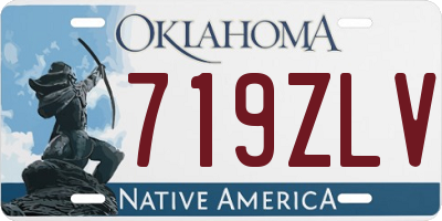 OK license plate 719ZLV