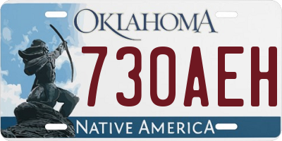 OK license plate 730AEH