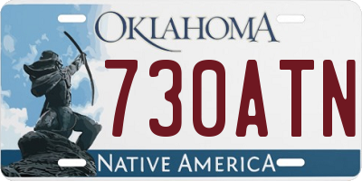 OK license plate 730ATN