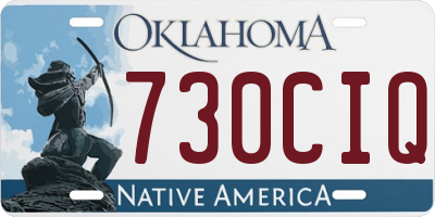 OK license plate 730CIQ