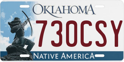 OK license plate 730CSY