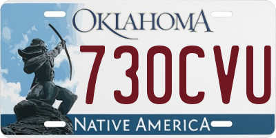 OK license plate 730CVU