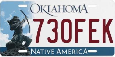 OK license plate 730FEK