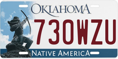 OK license plate 730WZU