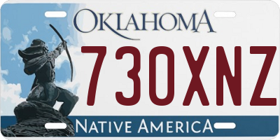 OK license plate 730XNZ