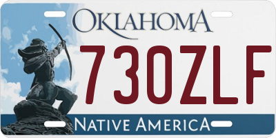 OK license plate 730ZLF