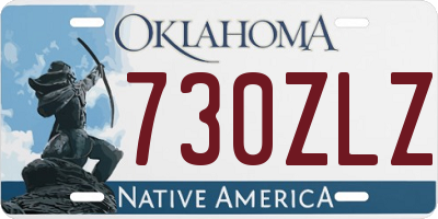 OK license plate 730ZLZ