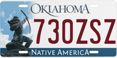 OK license plate 730ZSZ