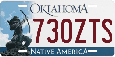 OK license plate 730ZTS