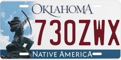 OK license plate 730ZWX