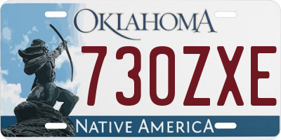 OK license plate 730ZXE