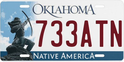 OK license plate 733ATN