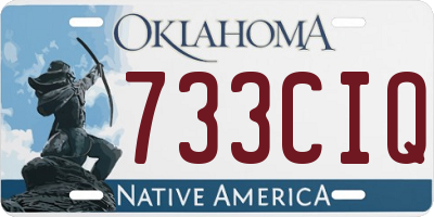 OK license plate 733CIQ