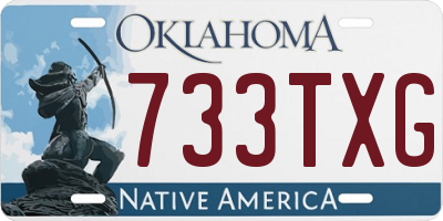 OK license plate 733TXG