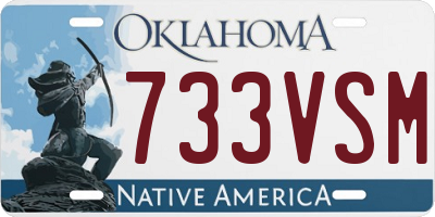 OK license plate 733VSM