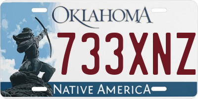 OK license plate 733XNZ