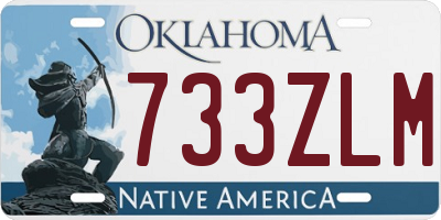 OK license plate 733ZLM