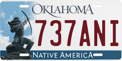 OK license plate 737ANI