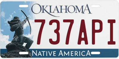 OK license plate 737API