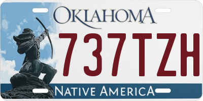 OK license plate 737TZH