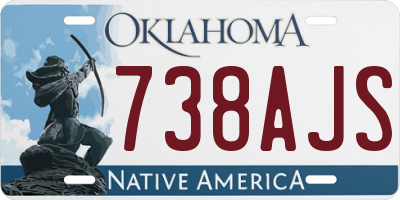 OK license plate 738AJS