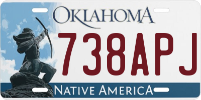 OK license plate 738APJ