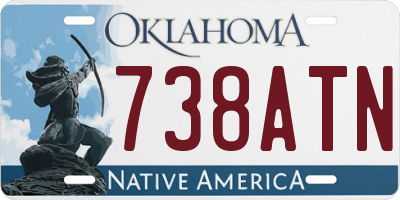 OK license plate 738ATN